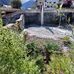 David Greil - Facebook
