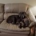 David Greiner - Facebook