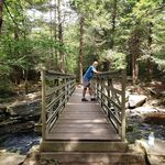 David Greiner - @runnerd3 - Instagram