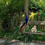 David Grenon - @david.grenon.77 - Instagram