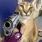 David Greško - @davidgresko09981 - Instagram