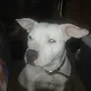 David Grauel - @davidgrauel - TikTok