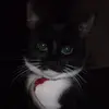 David Grice129 - @davidgrice129 - TikTok