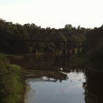 @davidgrider - Instagram