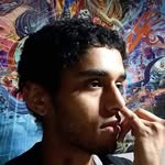 David Grier - @thewonderturtle - Instagram