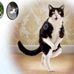 David Grieser - Facebook