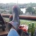 David Grigg - Facebook