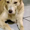 David grimaldi - @david.grimaldi264 - TikTok