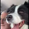 davidgrimaldi51 - @davidgrimaldi51 - TikTok