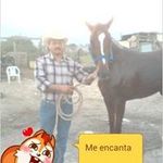 David Grimaldo Soto - @davidgrimaldosoto - Instagram