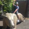 david grimm947 - @ibgrimm7 - TikTok