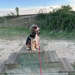 David Grimmer - @northerndeejay1 - Instagram