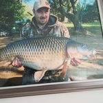 David Grimmer - @david.grimmer.393 - Instagram