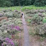 David Grimmer - @grimmer8258 - Instagram