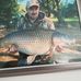 David Grimmer - Facebook