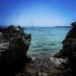 David Grinage - @davidgrinage - Instagram