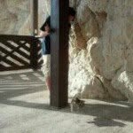 דוד גרינברג - @davidgrinberg1998 - Instagram
