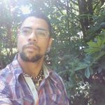 David Grinder - @grinderdavid - Instagram