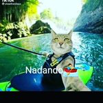 david - @david_gringo_r.j16 - Instagram