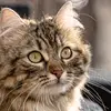 davi.grippo - @spitz.it - TikTok