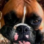 David Grise - @dgrise73 - Instagram