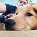 David Grismore - @tib_the_viking - Instagram