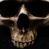 davidgrobler287 - @davidgrobler287 - TikTok