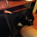 David Gronsky - Facebook