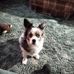 David Groft - Facebook