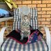 Dave Grainger - Facebook