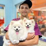 David_Groomer - @david_groomer - Instagram