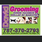 David’s Grooming - @david_grooming_ - Instagram