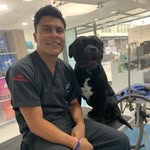 David Figueroa - @david.groomer - Instagram