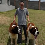 David_Groomer - @david_groomer - Instagram
