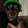 David Groomes - @david.groomes - TikTok