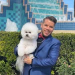 David Marques Groomer🐾 - @davidmarques.groomer - Instagram