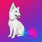 David Pescaria Pet Groomer - @davidpescariapetgroomer - Instagram