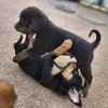 davidgrotenhuis - @davidgrotenhuis - TikTok