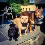 David Grosso - @babyboyuniqueaumonde - Instagram