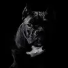 David Grosso - @davidgrosso8 - TikTok