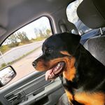 David Grote - @daveg2603 - Instagram
