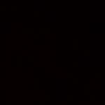 David Grothe - @negrothe_ - Instagram