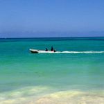 Davide Grotto - @davidegrotto1974 - Instagram