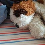 Davide Grotto - @davide.grotto.16 - Instagram