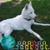 David Krouse - Facebook