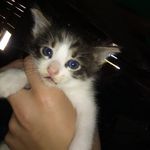 David Groza - @groza8597 - Instagram