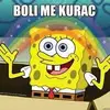 david - @davidgrubac5 - TikTok