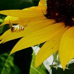 David Grubbs - @david.grubbs.3591 - Instagram