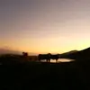 david - @david.grun - TikTok