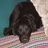 David Grunert - @david.grunert2 - TikTok